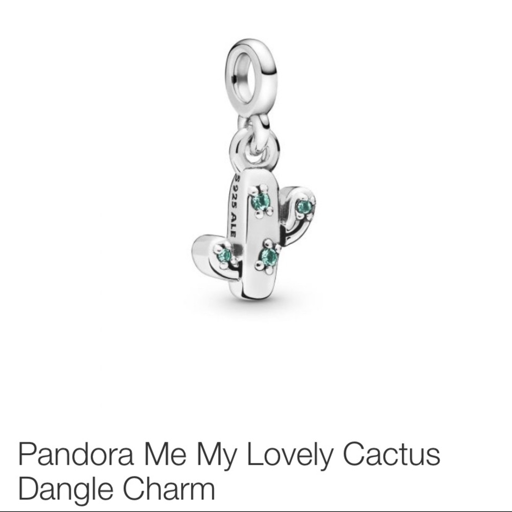 NWT Pandora Cactus Charm
